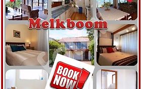 Melkboom